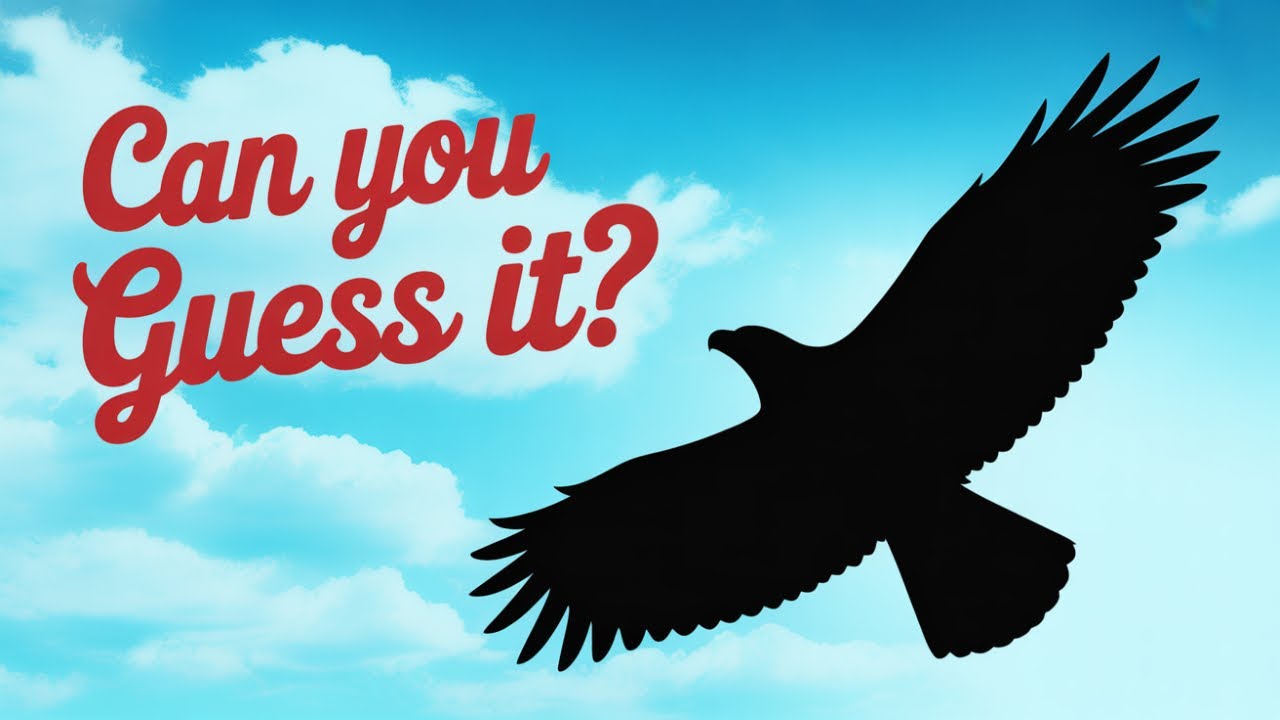 Can You Guess the Animal by Its Shadow?