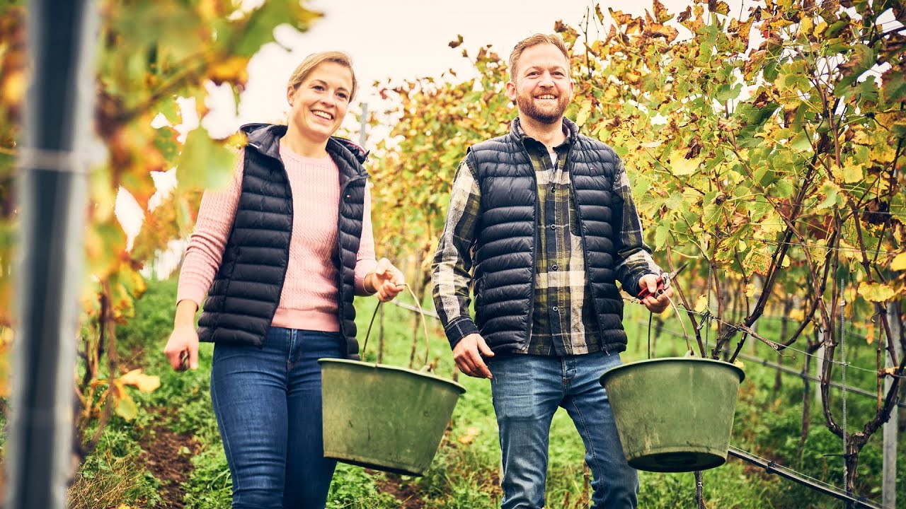 Weingut Landerer