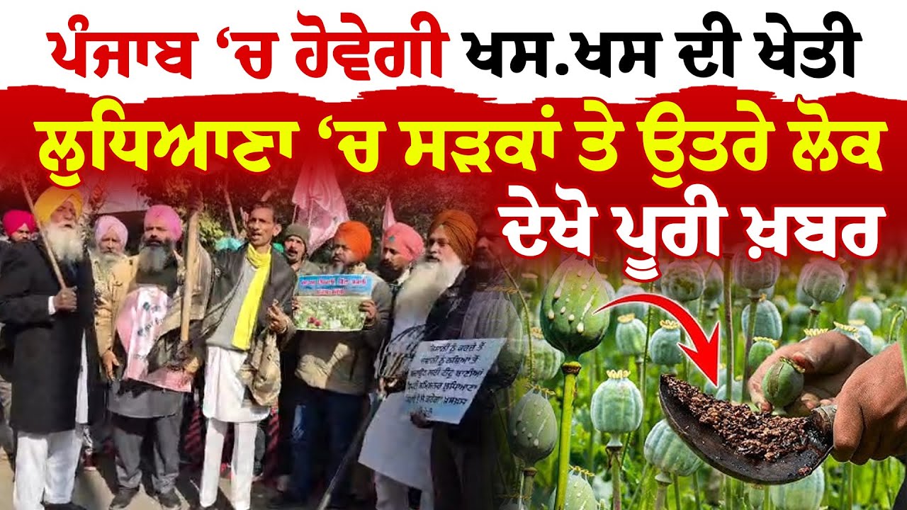Ludhiana News ''ਪੰਜਾਬ 