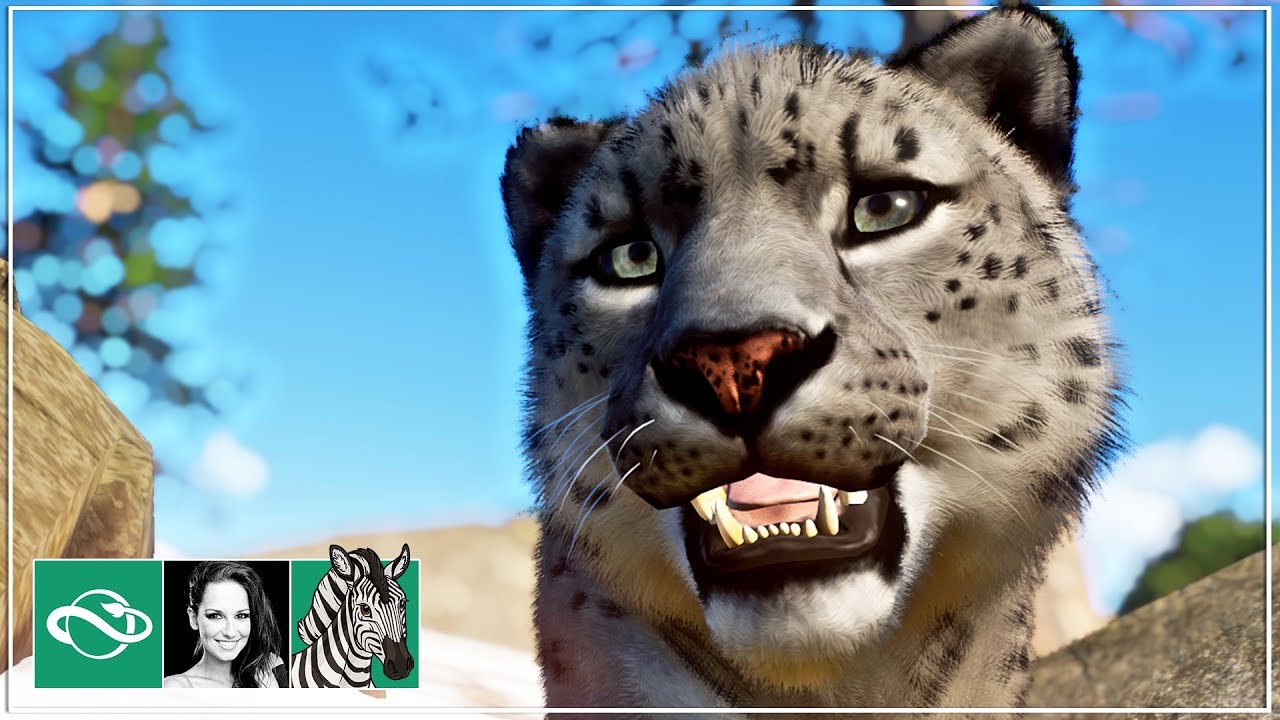 🦓 Snow Leopard & Cave Shelter Habitat | Let's play Planet Zoo Franchise Mode | BETA | #11