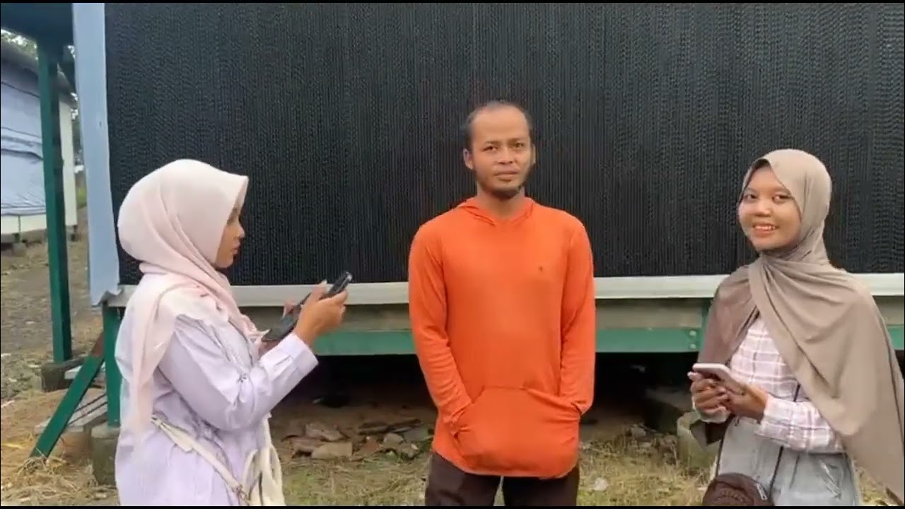 Berkunjung ke Tempat Budidaya Ayam Boiler | kelompok 4 / 12.3