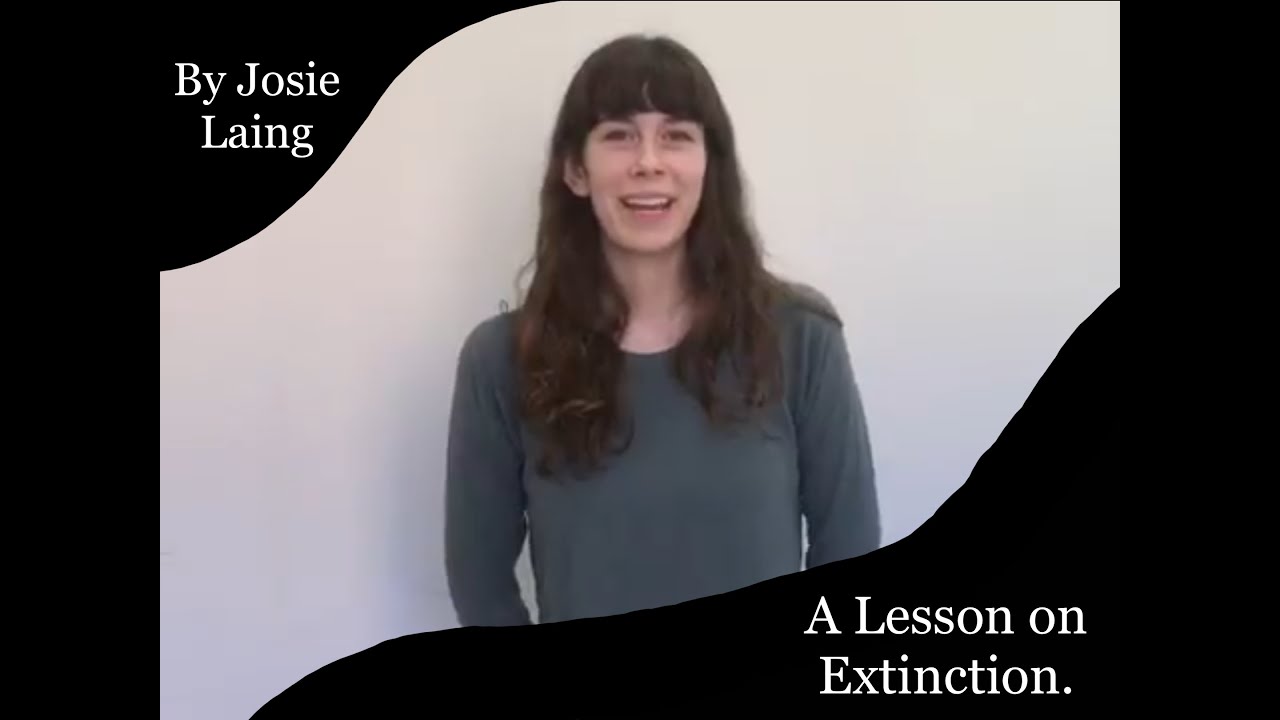 A Lesson on Extinction