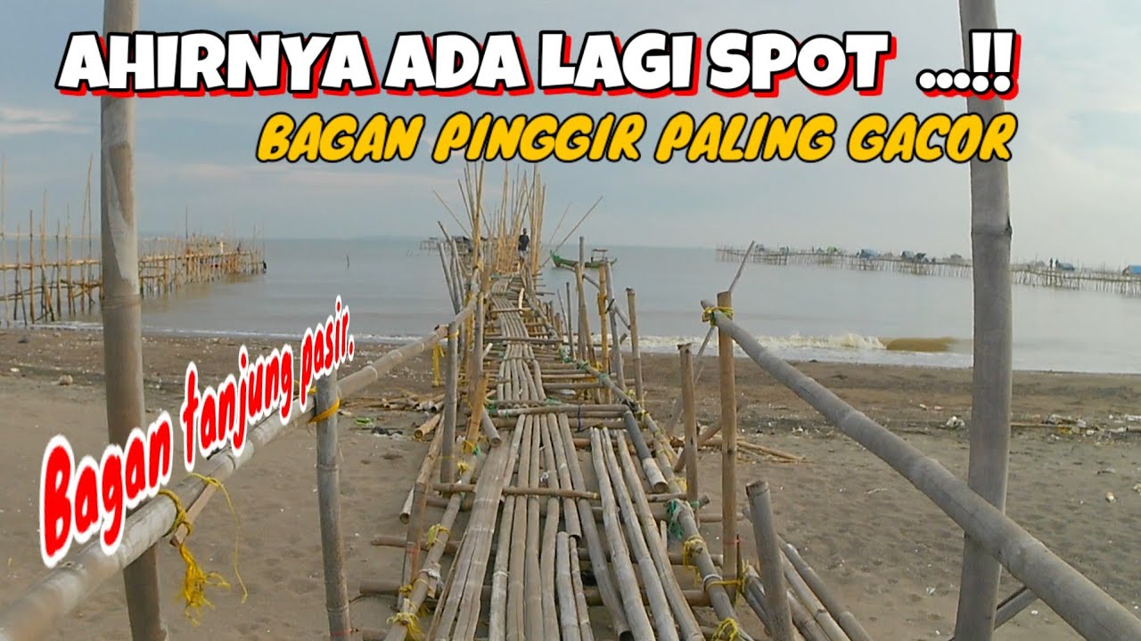 SAKING BANYAKNYA SAMBARAN  IKAN . SAMPAI KETETERAN.!!