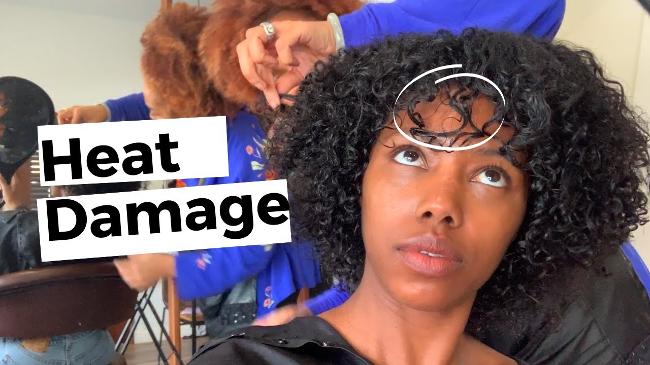 Got a Style Cut! Fix my heat damaged natural hair??