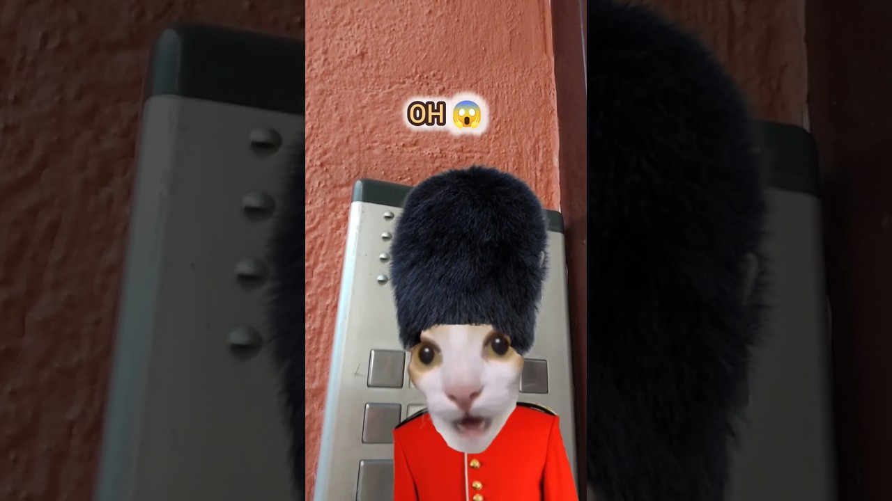 Viernes al telefonillo con mi padre 11 📞😆 #humor #gatos #comedia #padre #acentos #imitaciones