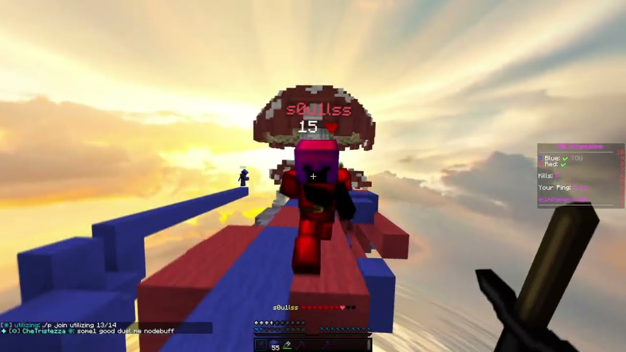 Bedfight Duotage