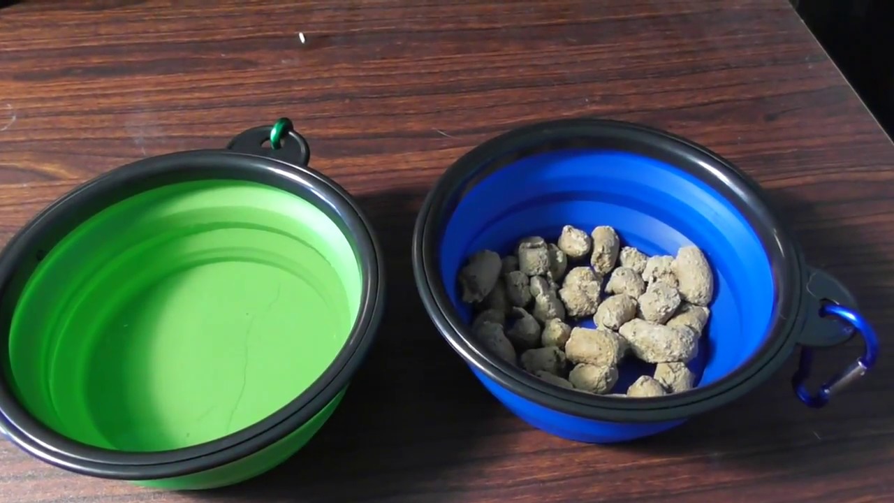 BLEDS Travel Portable Collapsible WATER BOWL DISH for PETS DOGS REVIEW