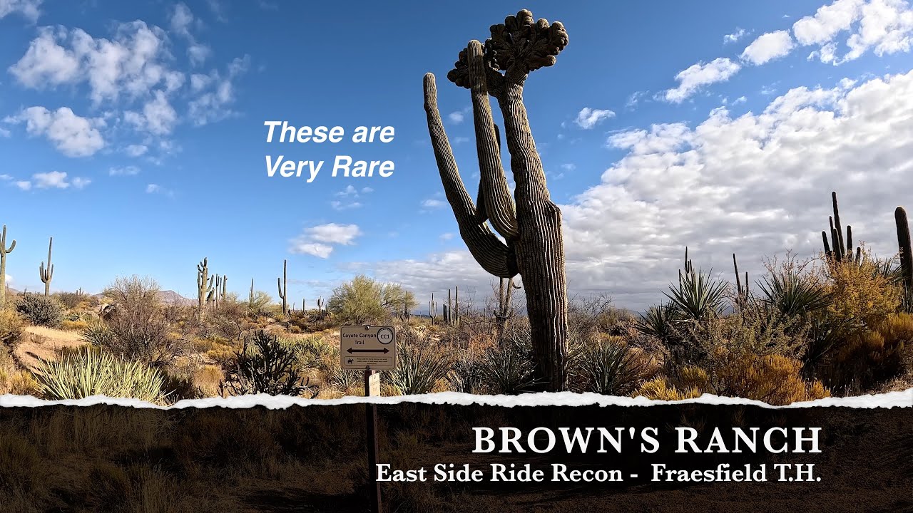 Brown's Ranch / Scottsdale, AZ : East Side Ride Recon - Fraesfield T.H.