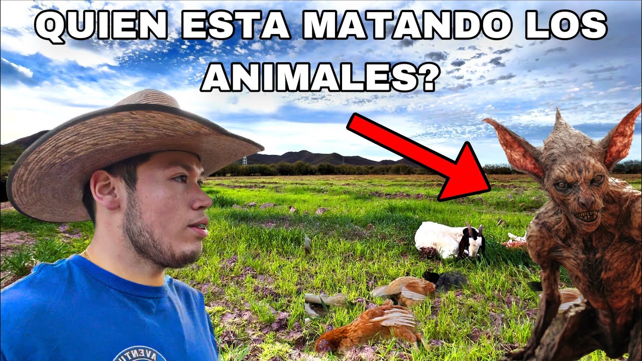 Chupacabra Delincuentes o Animales
