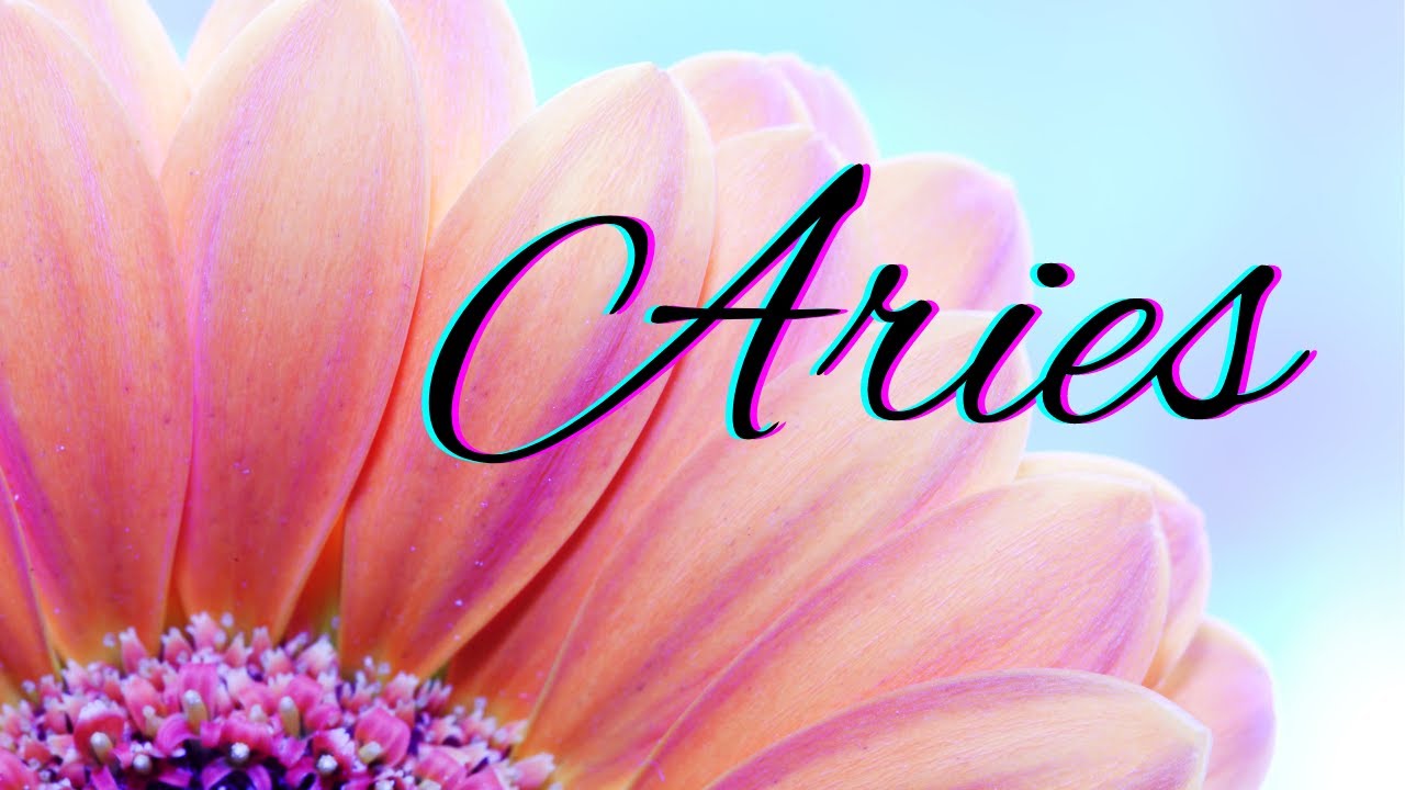 Aries BONUS🌷Your Next Romantic Partner🌷New Love Reading