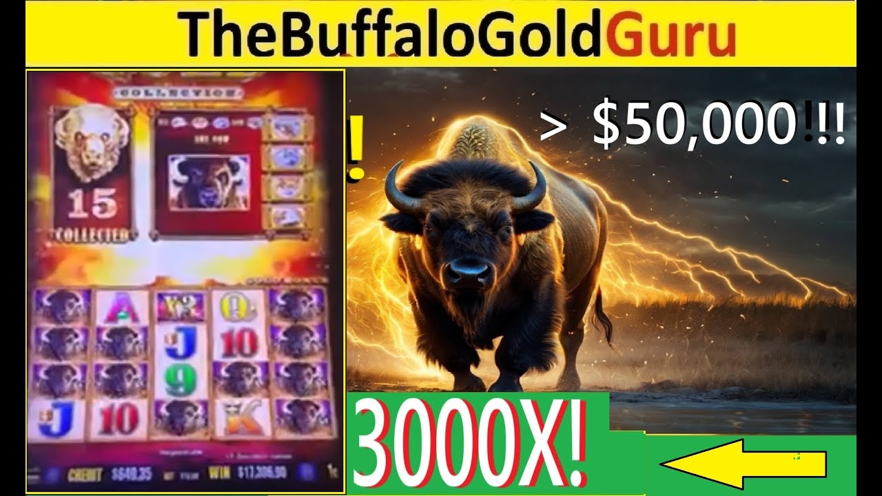 15 GOLD HEADS!!!! BIGGEST BUFFALO GOLD JACKPOTS EVER! - $15 bet!