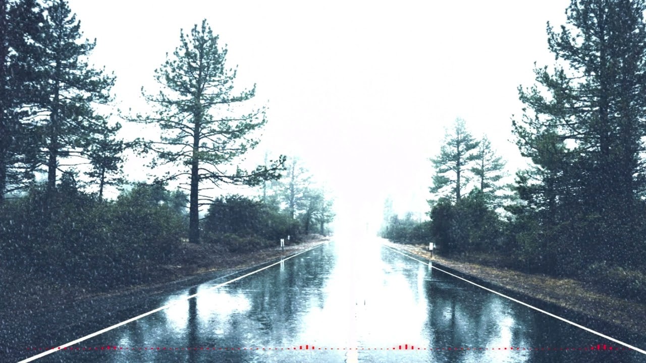 Peaceful Relaxing mind /Piano Calm Forest (n.01 )