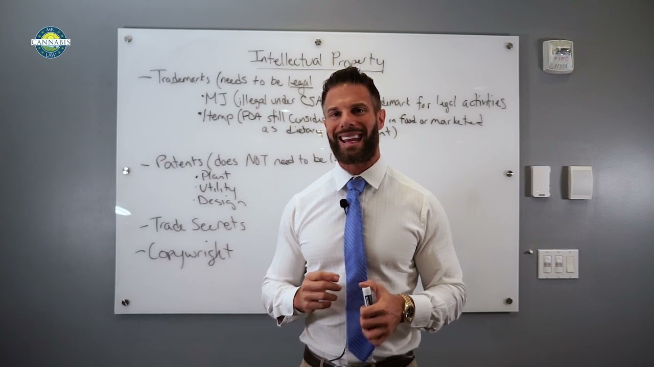 Mr. Cannabis Law Class 6: Intellectual Property Law