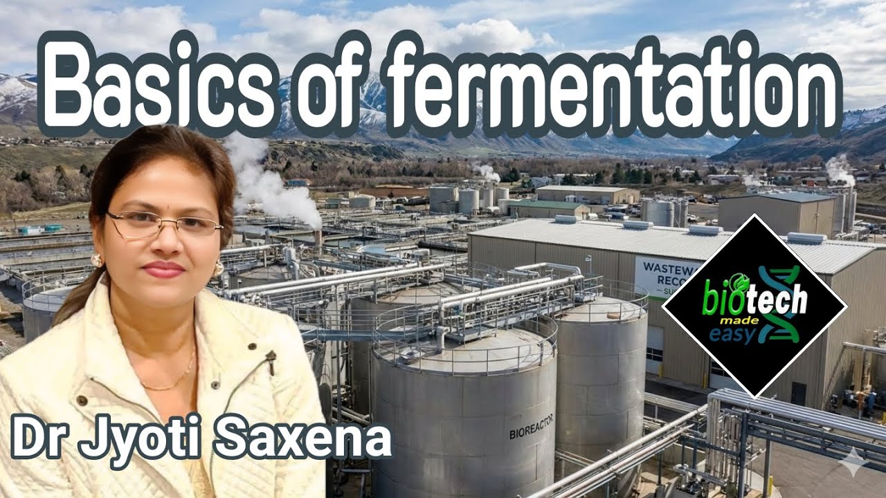 Basics of Fermentation#Biotech Made Easy#microbiology#Alcohol industry# Baking# yeast#biotechnology 