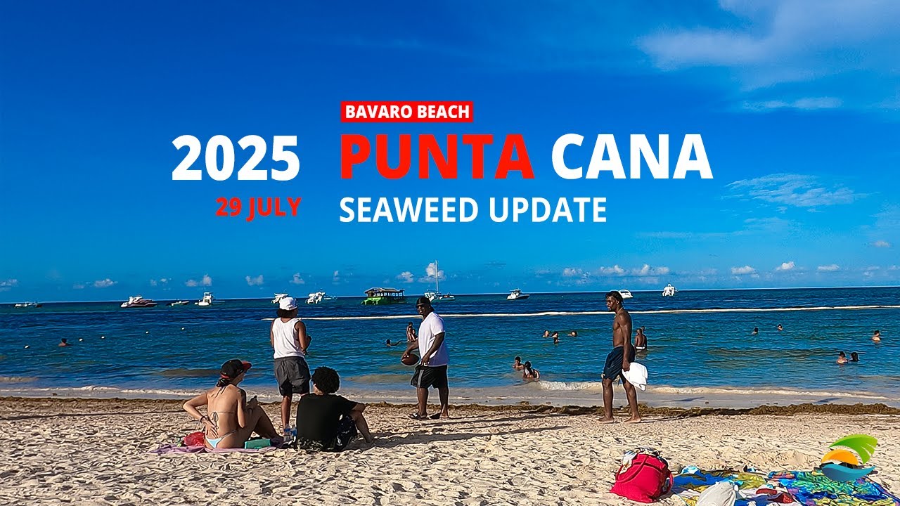 Punta Cana Seaweed Update (July 29, 2025) - Beach Report - Dreams, Paradisus, Melia, Lopesan