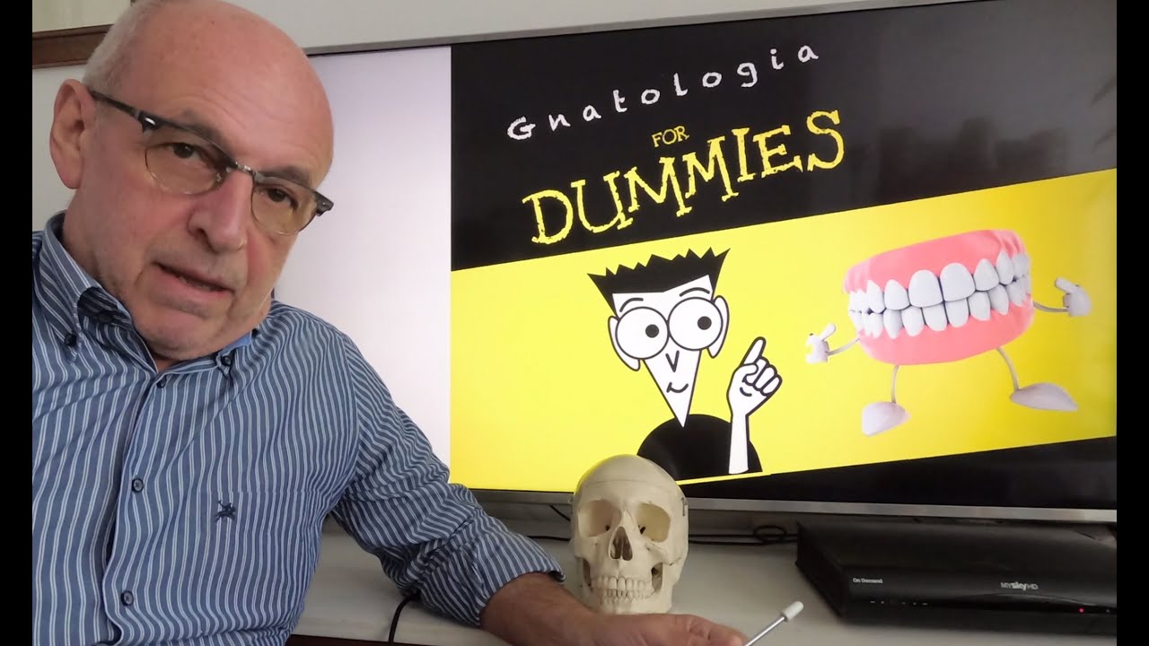 Gnatologia 