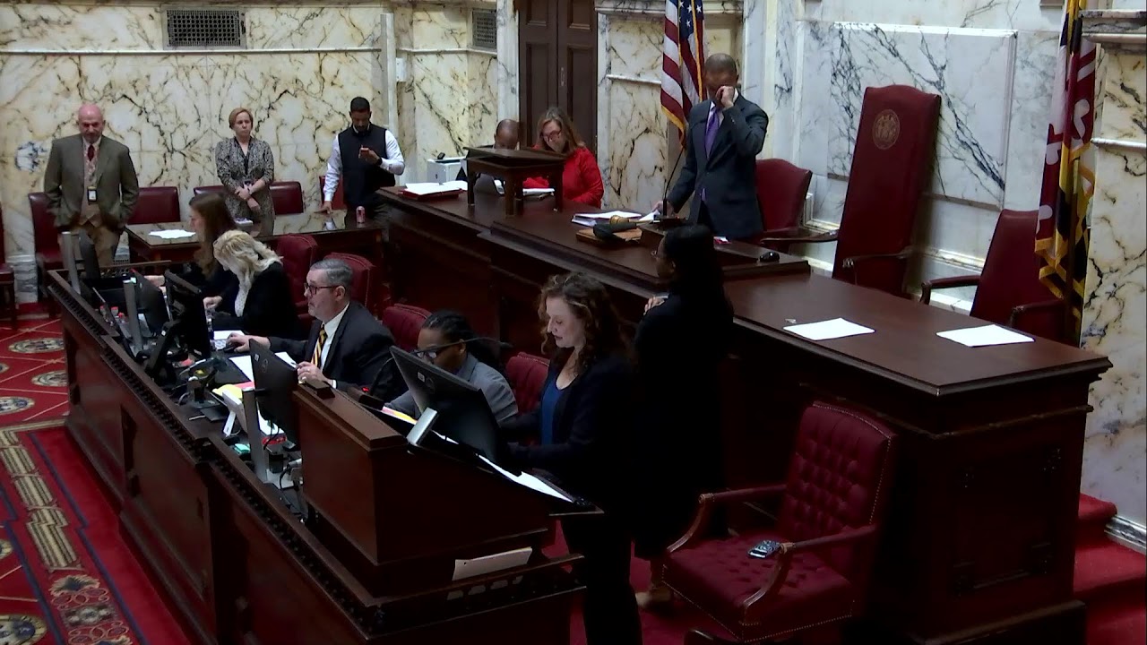 Senate Floor Session, 2/13/2026 #1