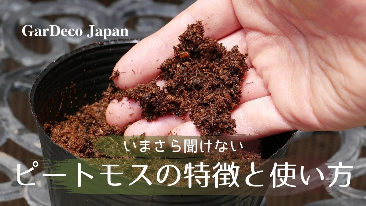 【いまさら聞けない】ピートモスの特徴と使い方【土壌改良】