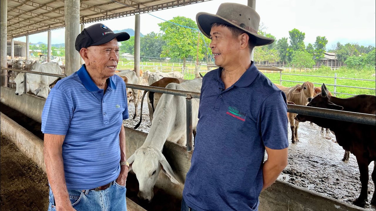 BEST OF THE BEST CATTLE BREEDS IN THE WORLD, NASA JULIANAS FARM NA SA BATANGAS