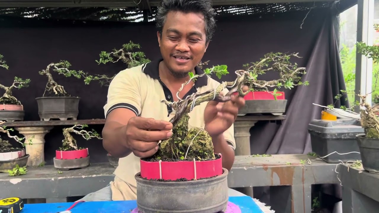 Bahan dari dongkel murah meriah info & pemesanan by w.a 085649831907 ( Cak koteng )