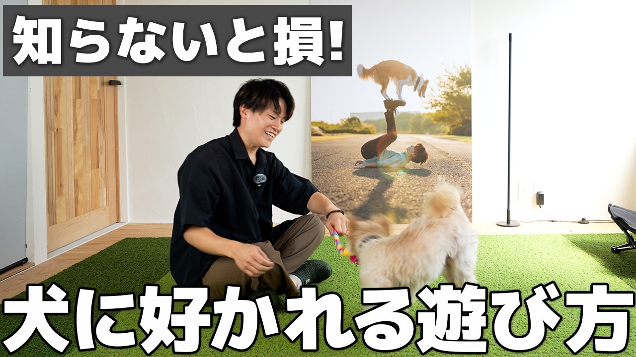 【犬に好かれる遊び方】愛犬が飼い主に夢中になる遊び方｜やってはいけないNG行動も解説！