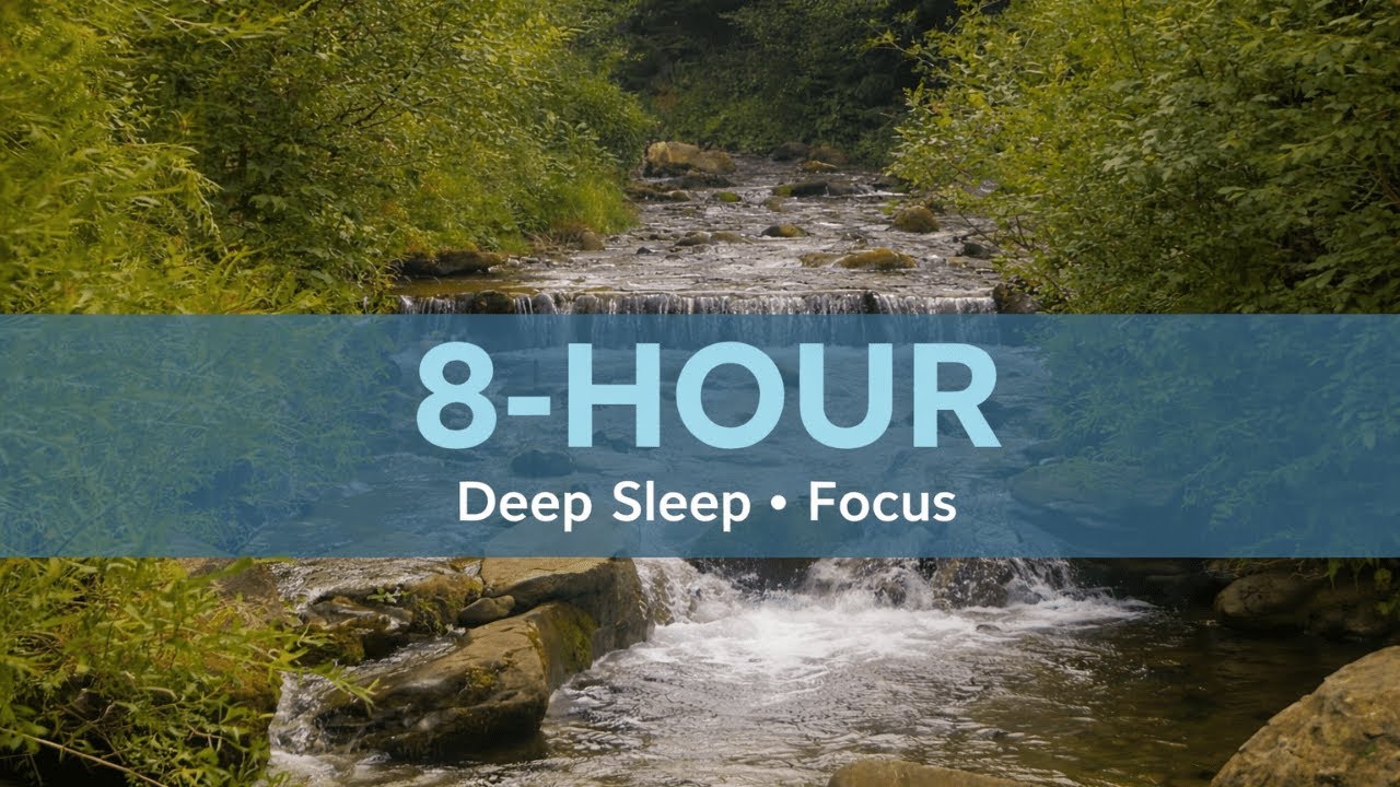 8 HOURS: Forest Creek Sounds for Deep Sleep 🌲 Gentle Stream in the Woods (No Music) 4K