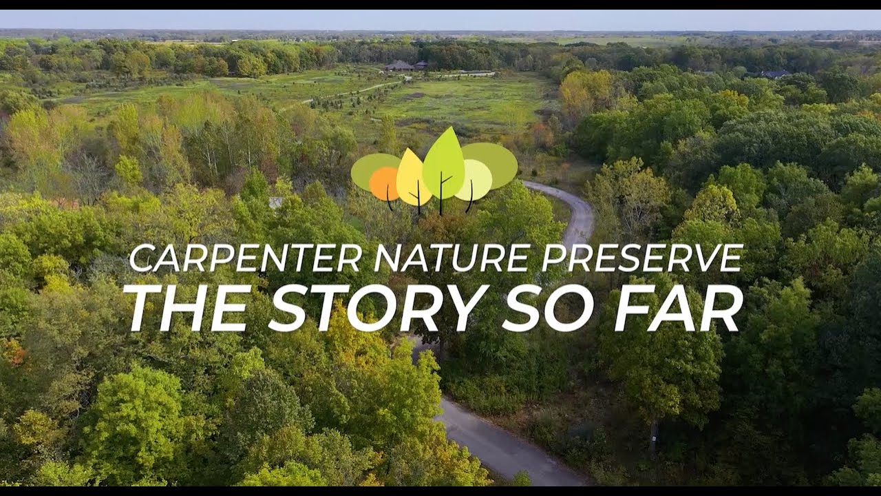 The Carpenter Nature Preserve: The Story So Far