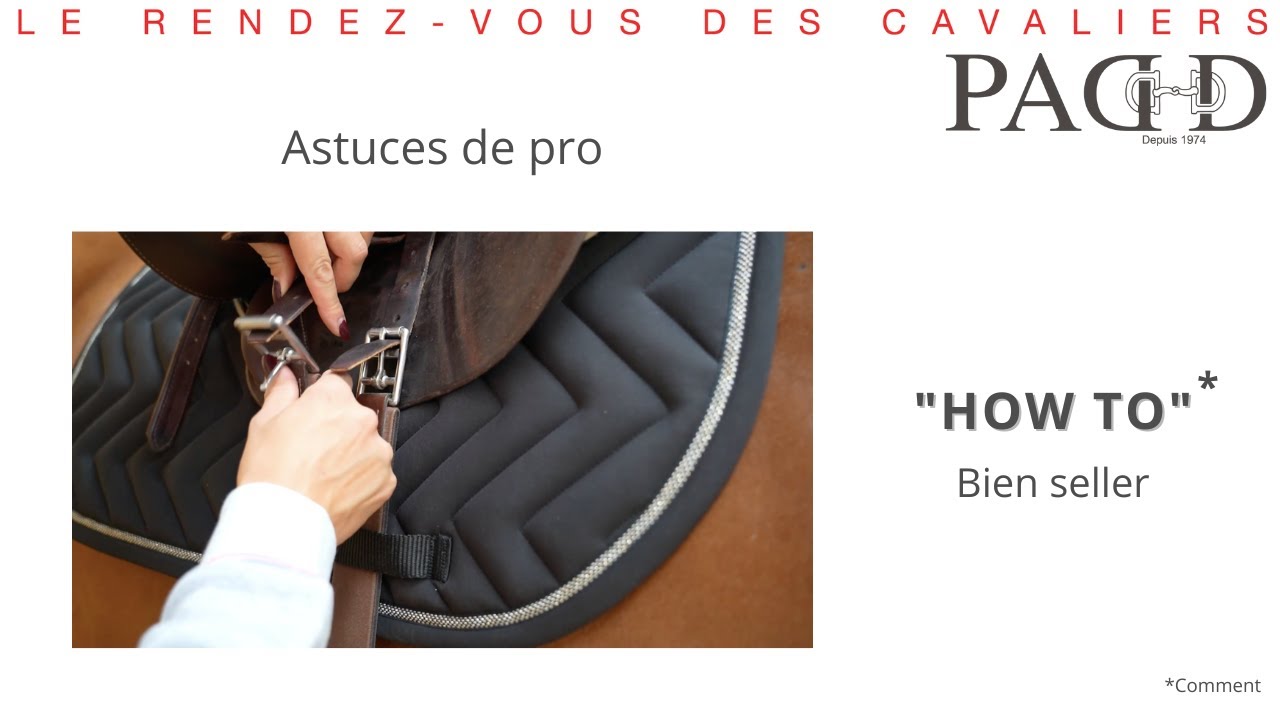 PADD - Astuces de pro : Comment bien seller son cheval ?