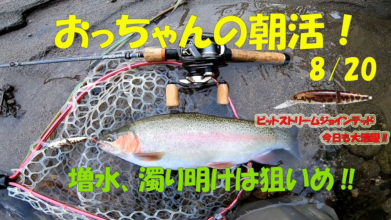 増水、濁り明けは狙いめ‼　ビットストリームジョインテッドは今日も活躍‼　８/２０