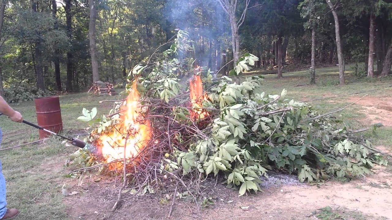 Propane weed burners and bonfires
