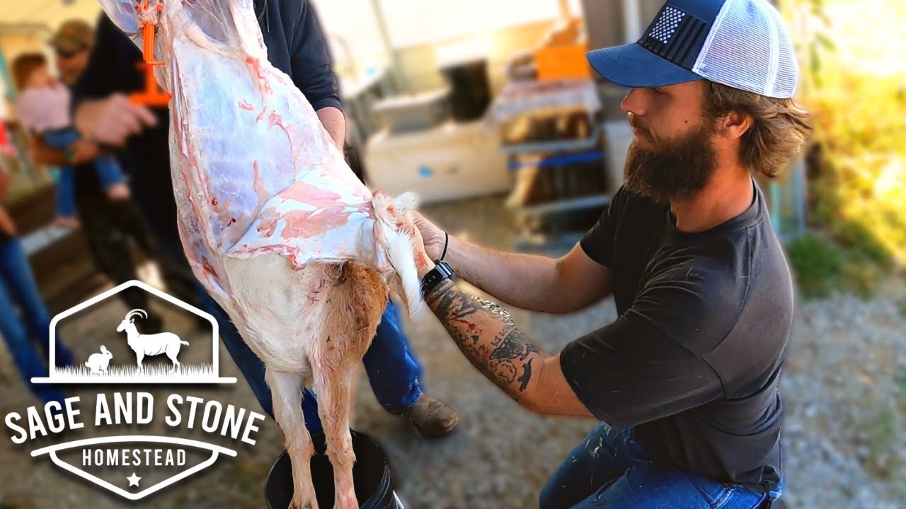 Why We Eat The Animals We Love | Goat Processing Day