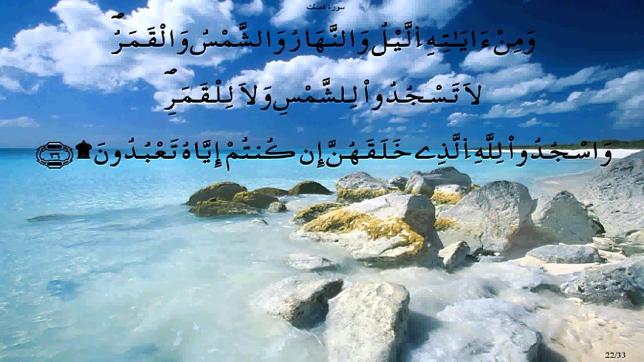 سورة فصلت * قالون * الحصري