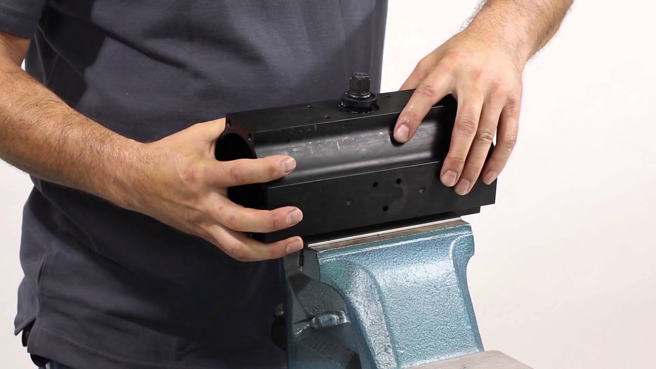 Replacement of the sealing elements on the pneumatic actuator EB-SYD