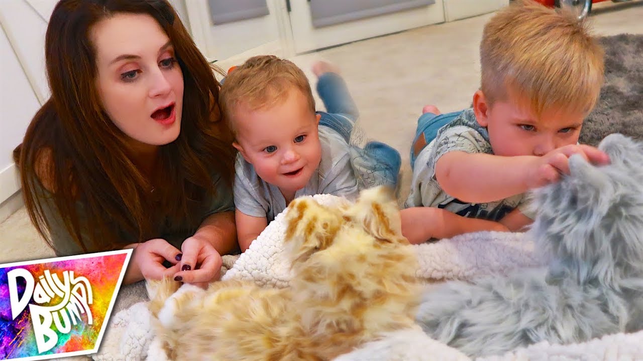 ADORABLE Stray Cat Rescue!! 😻 Should we keep em?!