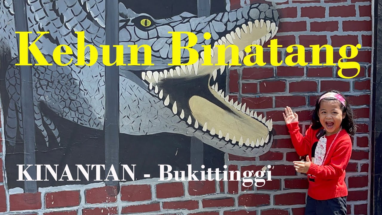 Bermain ke Kebun Binatang KINANTAN Bukittinggi Sumbar