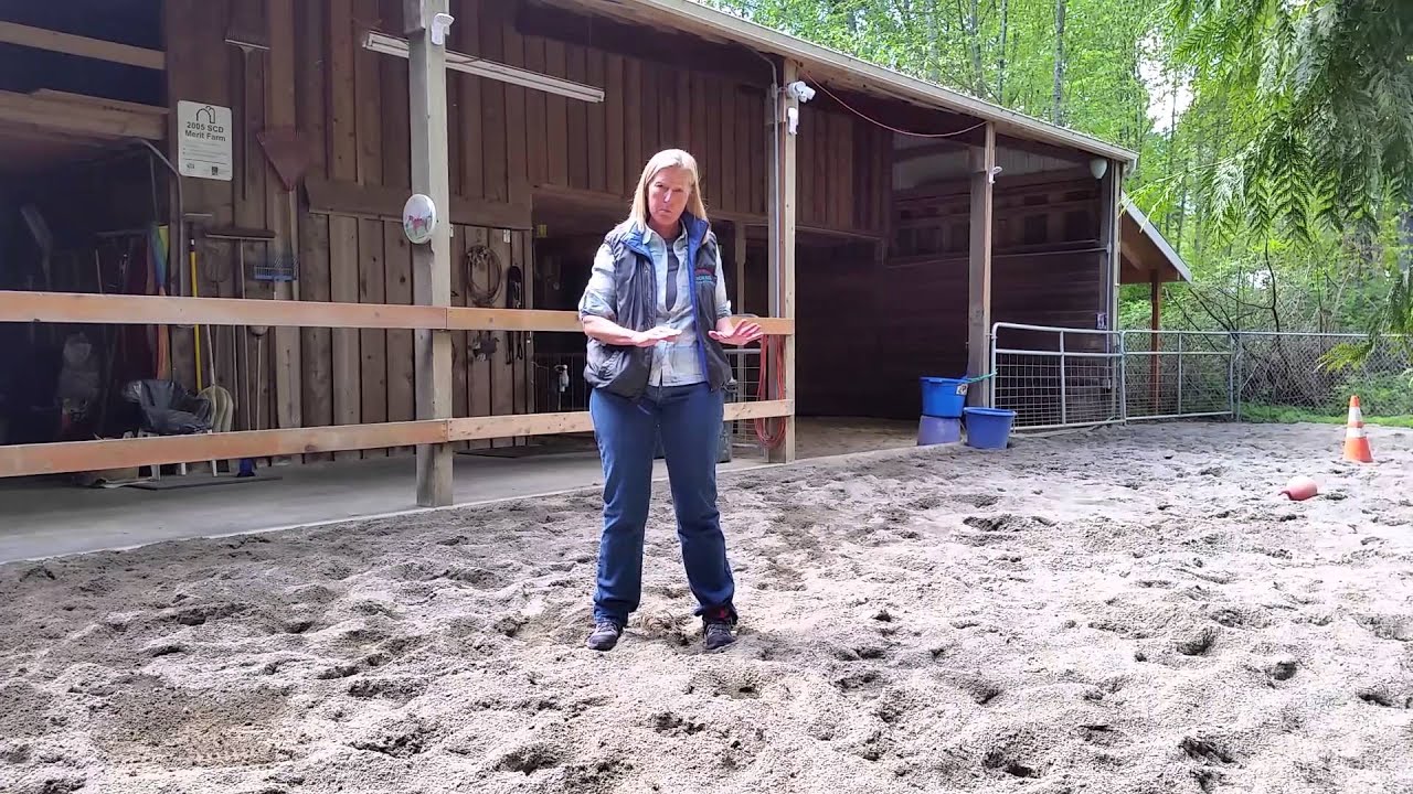 Footing Choices for Paddocks