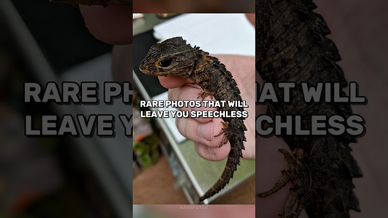 Rare Photos That Will Leave You Speechless! #shorts