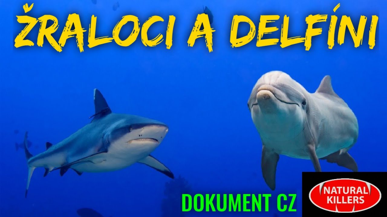 15 ŽRALOCI A DELF&Iacute;NI (DOKUMENT - Pred&aacute;toři zbl&iacute;zka)