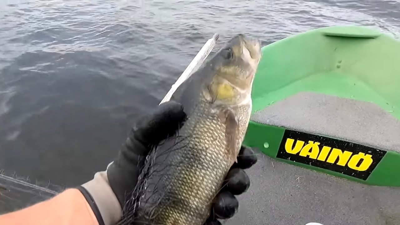 VERKOILLA 96 | UUDEN PAIKAN KARKEAT AHVENET JA JÄÄTÄVÄ TUULI. 📽💨💨💨💨