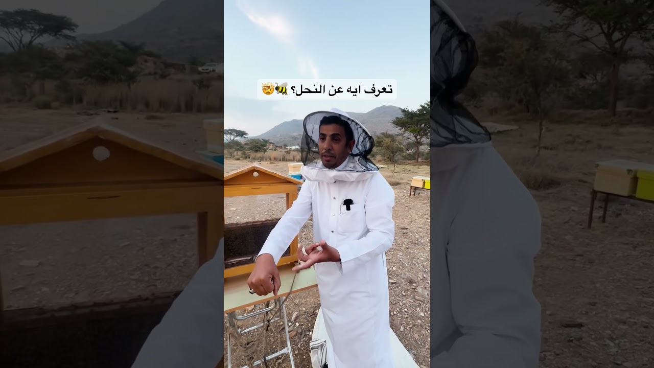 تعرف ايه عن النحل؟ 🐝😮