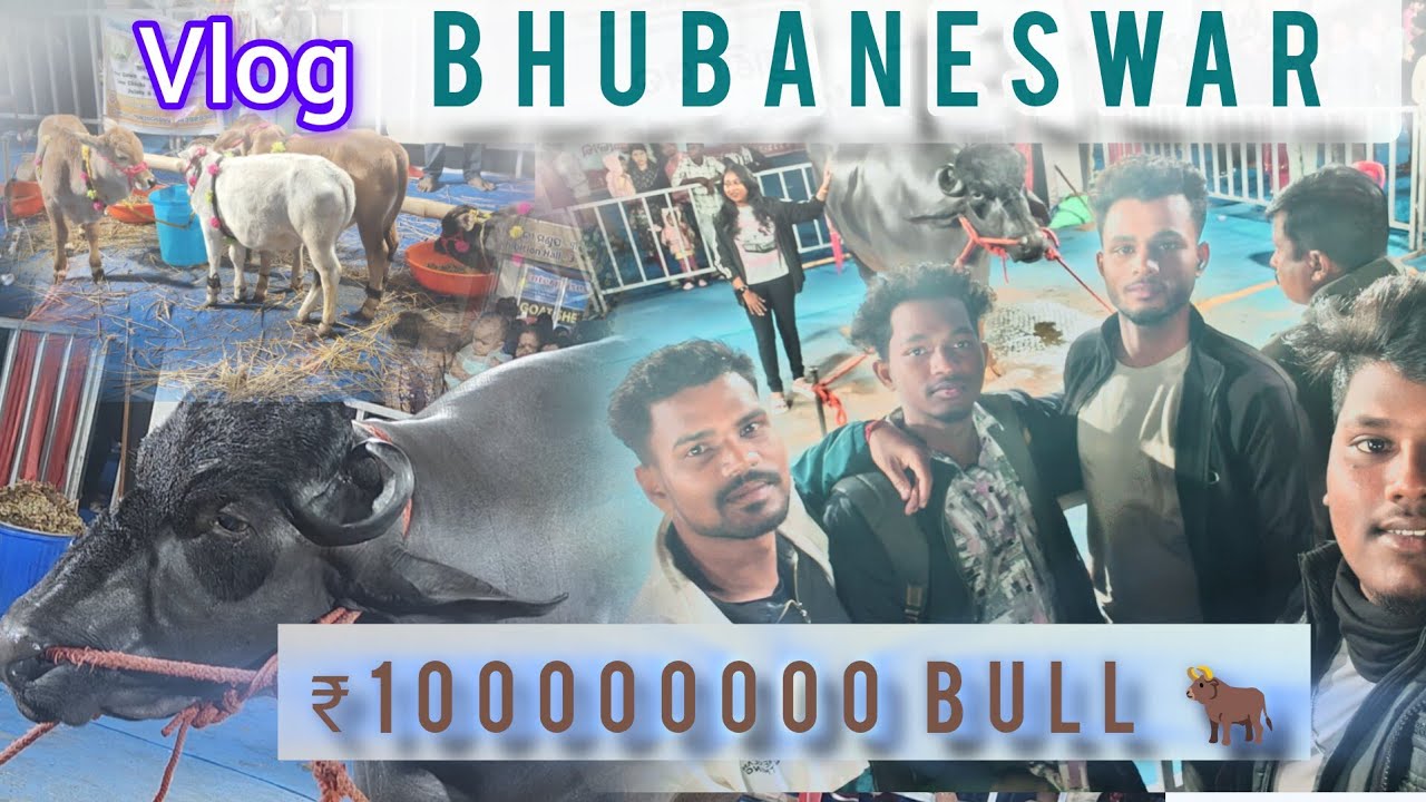 ₹10cr Bull 🐂 ll Bhubaneswar mein khushi mela ll #vlog #newvideo 