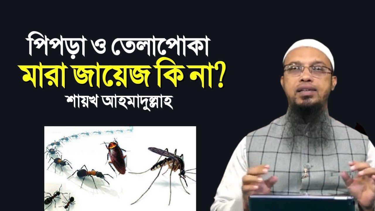পিঁপড়া ও তেলাপোকা মারা জায়েজ কিনা? শায়খ আহমাদুল্লাহ | Shaikh Ahmadullah | শরয়ী সমাধান