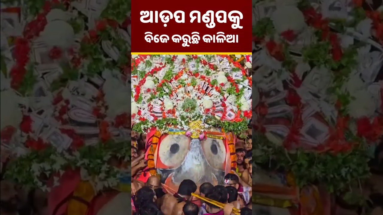 ଆଡ଼ପ ମଣ୍ଡପକୁ ବିଜେ କରିବାର ଅଲୌକିକ ଦୃଶ୍ୟ ⭕❗⭕ Jagannath | Puri | Rathayatra