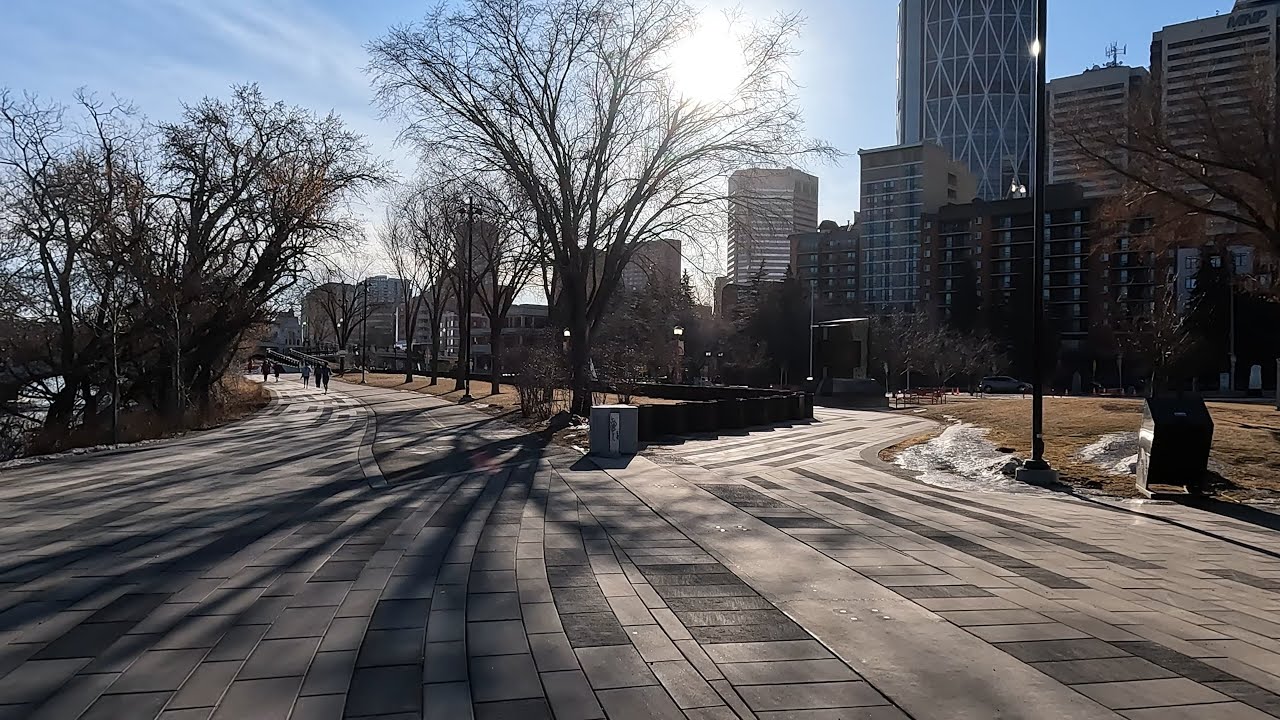 Calgary Litter pick 7th Feb 2026