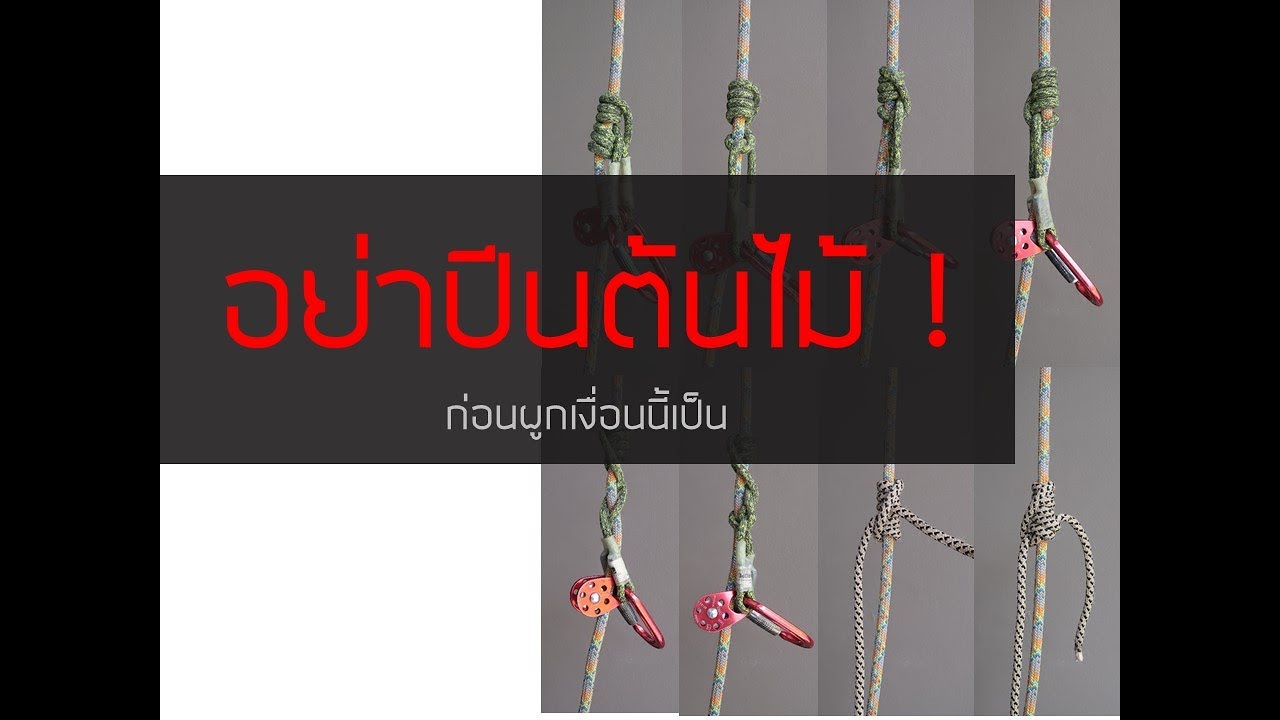 8 เงื่อนต้องรู้ก่อนปีนต้นไม้