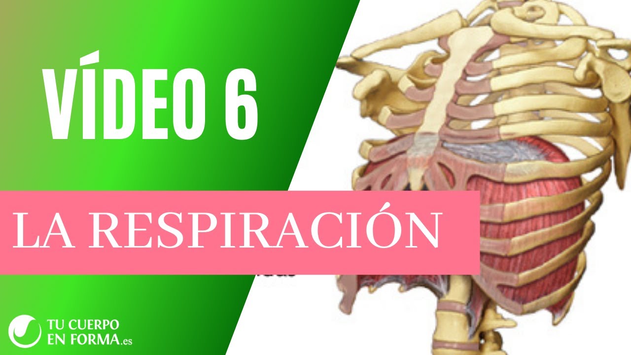 Vídeo nº6: La Respiración /Anatomía & Activaciones Básicas PILATES