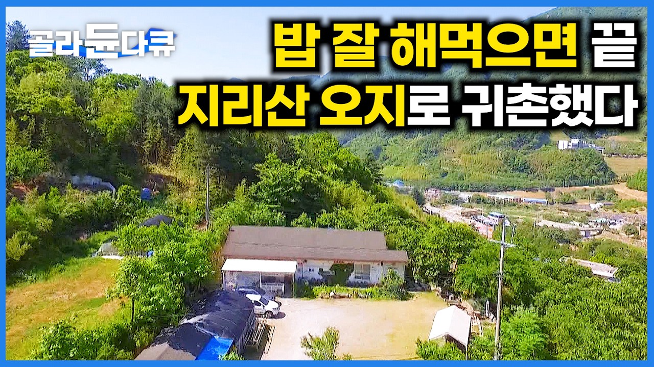 참 잘 해먹고 사네. 지리산으로 귀촌하고 일상이 여행이 됐다｜한국기행｜#골라듄다큐