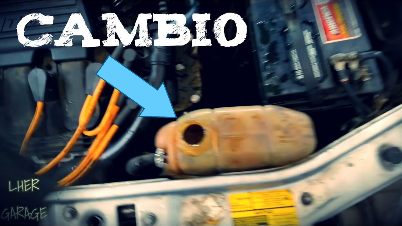 CAMBIO DE DEPOSITO DE ANTICONGELANTE A FIAT PALIO ADVENTURÉ 1.6 || LUIS HER