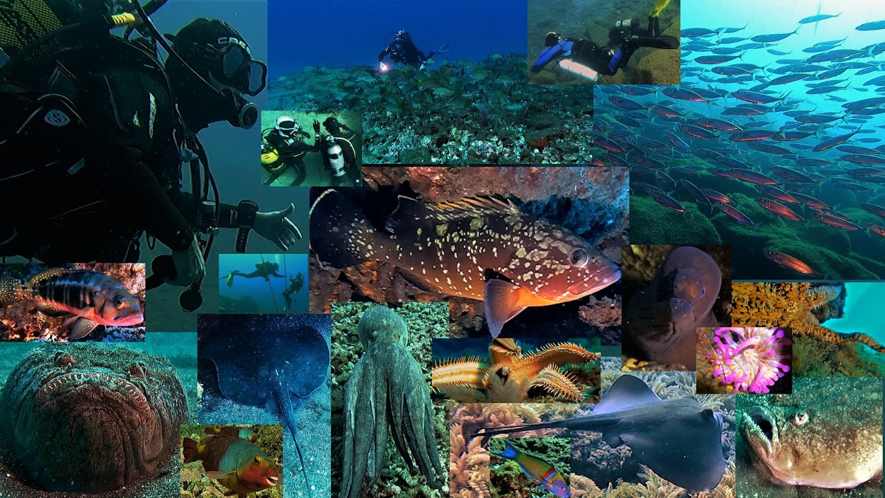 Buceo Radazul a la pirámide 30-04-2022