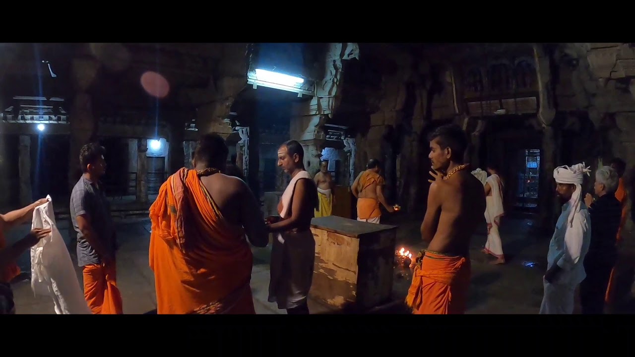 🇮🇳Indian temple's ceremony at night🌌🐘🐂